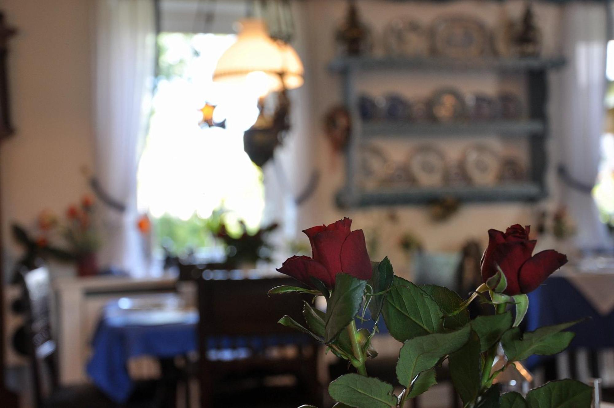 Inselhotel Arfsten Wyk auf Föhr Zewnętrze zdjęcie